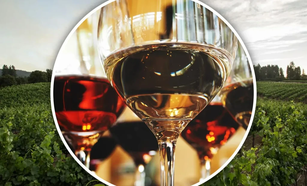Close-up of wine glasses overlaid on a vineyard landscape.