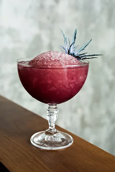 Reddish-purple drink in stemmed glass with crushed ice and botanical garnish.