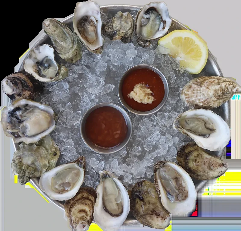 Fresh oysters on ice with cocktail sauce, horseradish, and lemon.