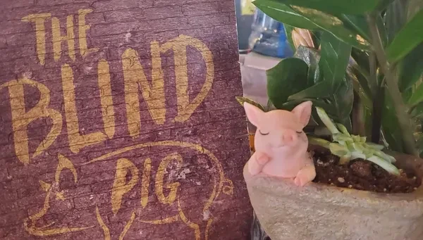 Rustic 'THE BLIND PIG' sign, a sleeping pink pig figurine, and potted plants.