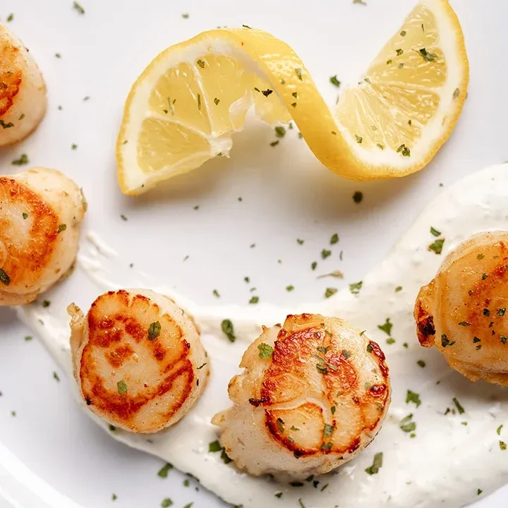 Golden-brown pan-seared scallops with herbs, lemon, and white sauce.