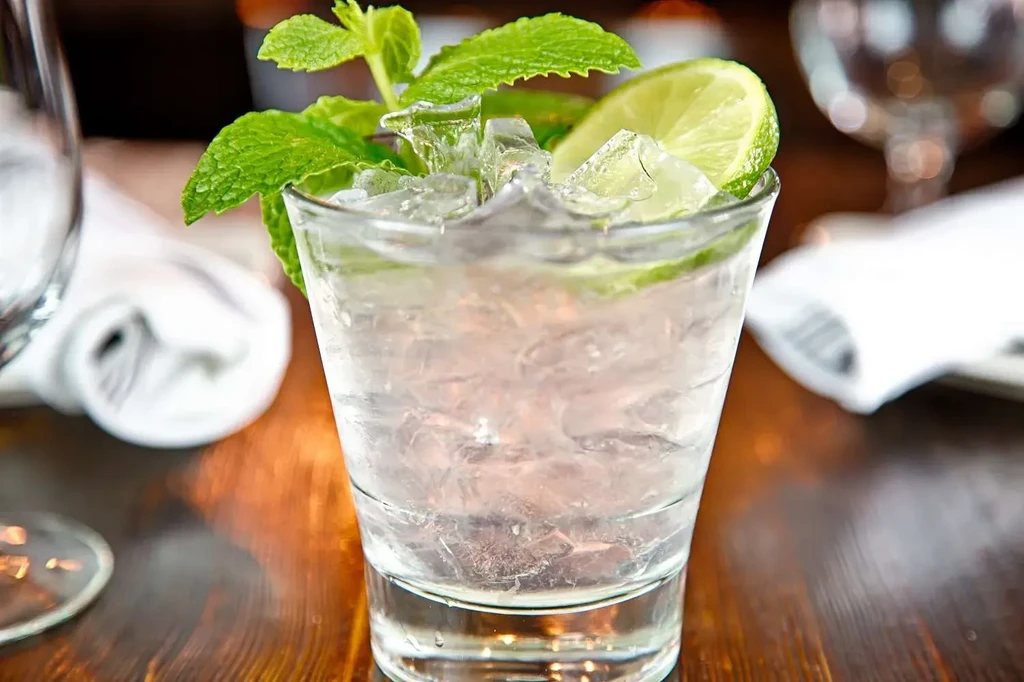 Lowball glass with ice, clear liquid, green mint, and lime.
