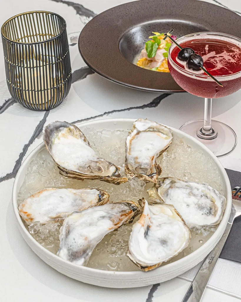 Plate of raw oysters on ice, cocktail, and ceviche on a table.