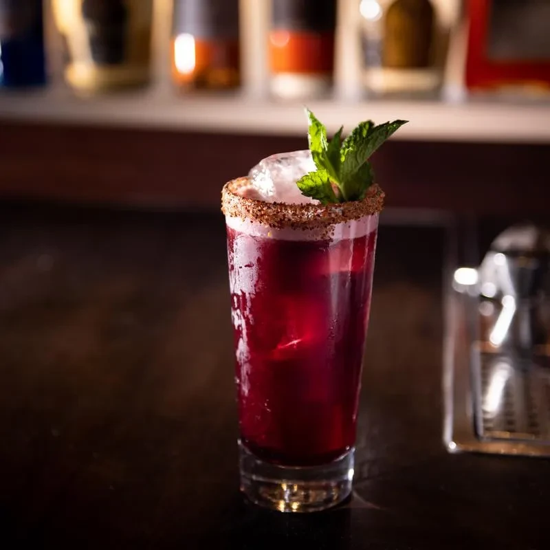 Reddish-purple drink with ice, a seasoned rim, and fresh mint.