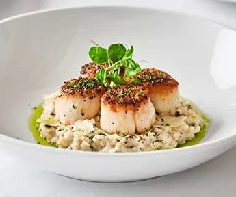 Four golden-brown pan-seared scallops on risotto with green garnish.