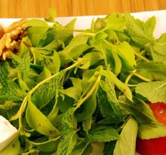Fresh mint, walnuts, and cheese on platter with wood background.