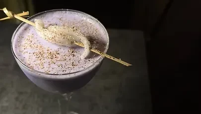 Purple cocktail in a martini glass with a frothy, spiced top.