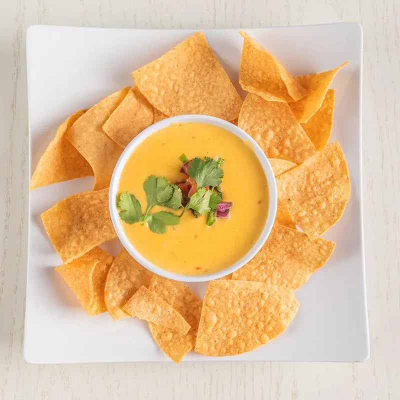Plate of queso dip with cilantro, onions, and tortilla chips.