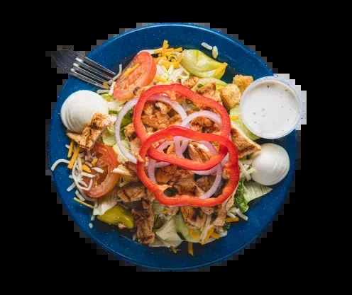 Overhead shot of grilled chicken salad with egg, cheese, vegetables.