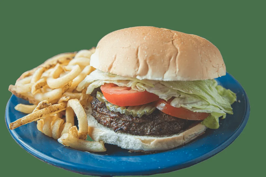 Hamburger and french fries on a blue plate.