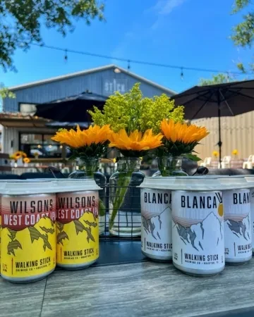 Cans of "Walking Stick" beverages on a table with sunflowers.