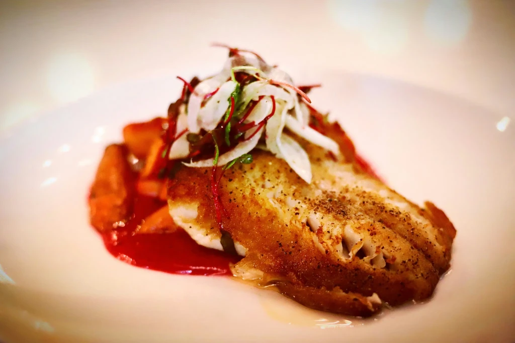 Seared fish, red sauce, white vegetables, microgreens, on white plate.