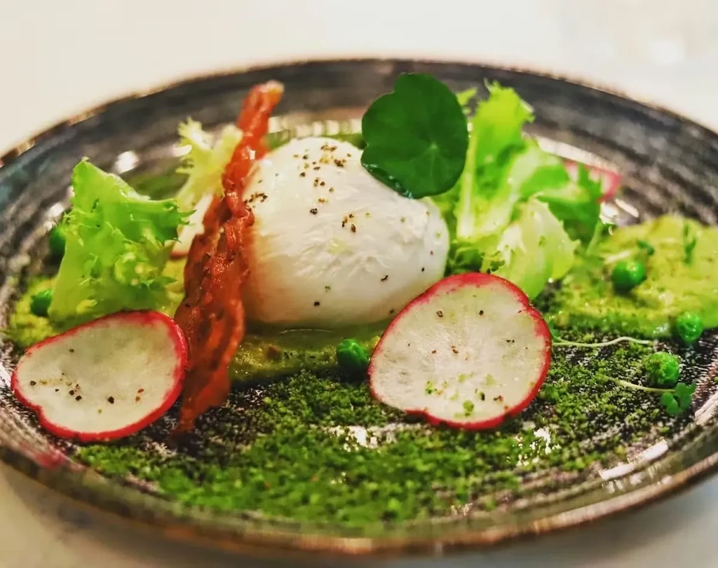 Artfully arranged plate with white cheese, greens, radish, and bacon.