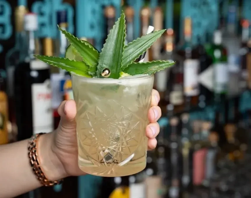 Hand holds a cocktail with lime and spiky green leaves.