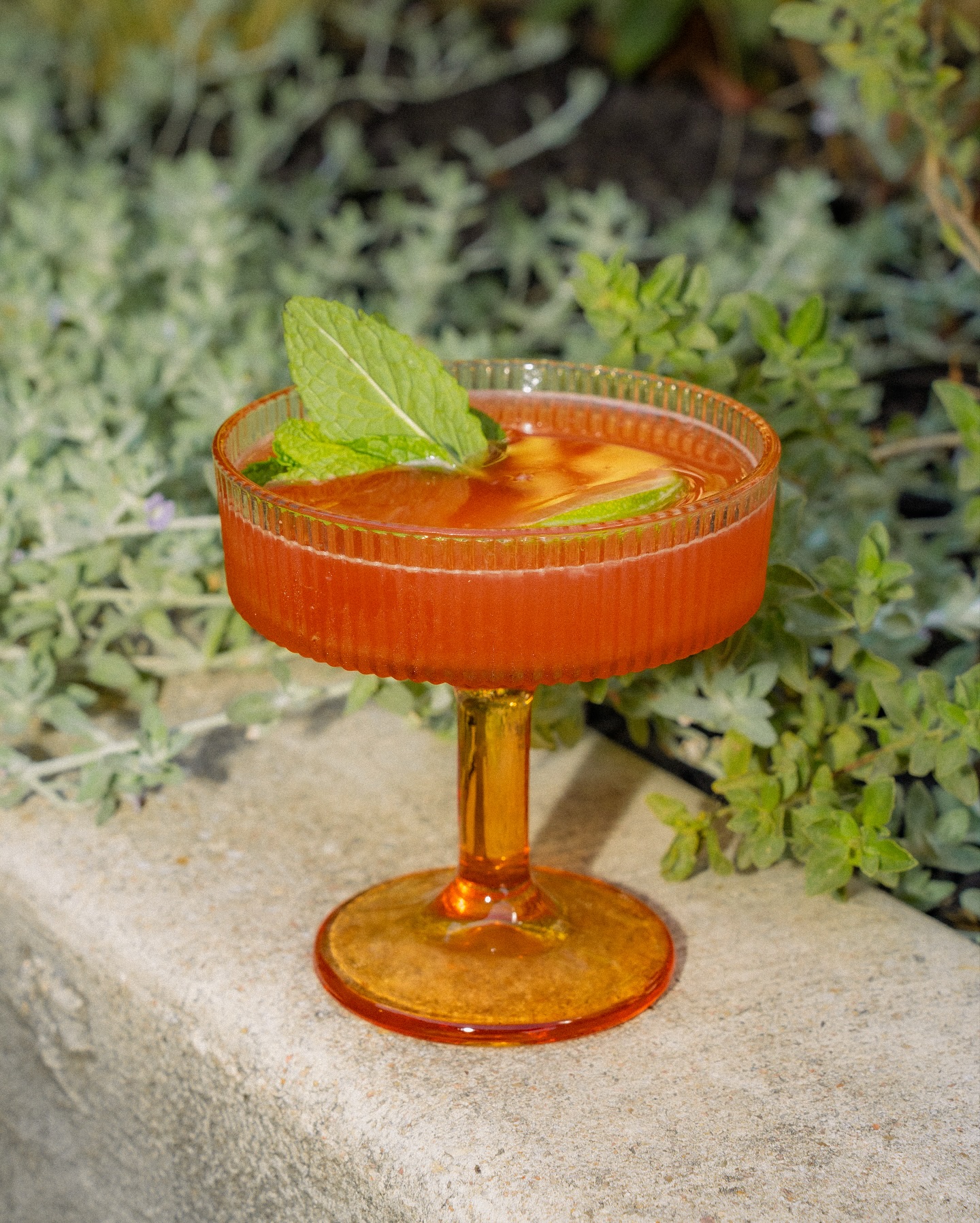 Red-orange cocktail in amber ribbed coupe glass with mint and lime.