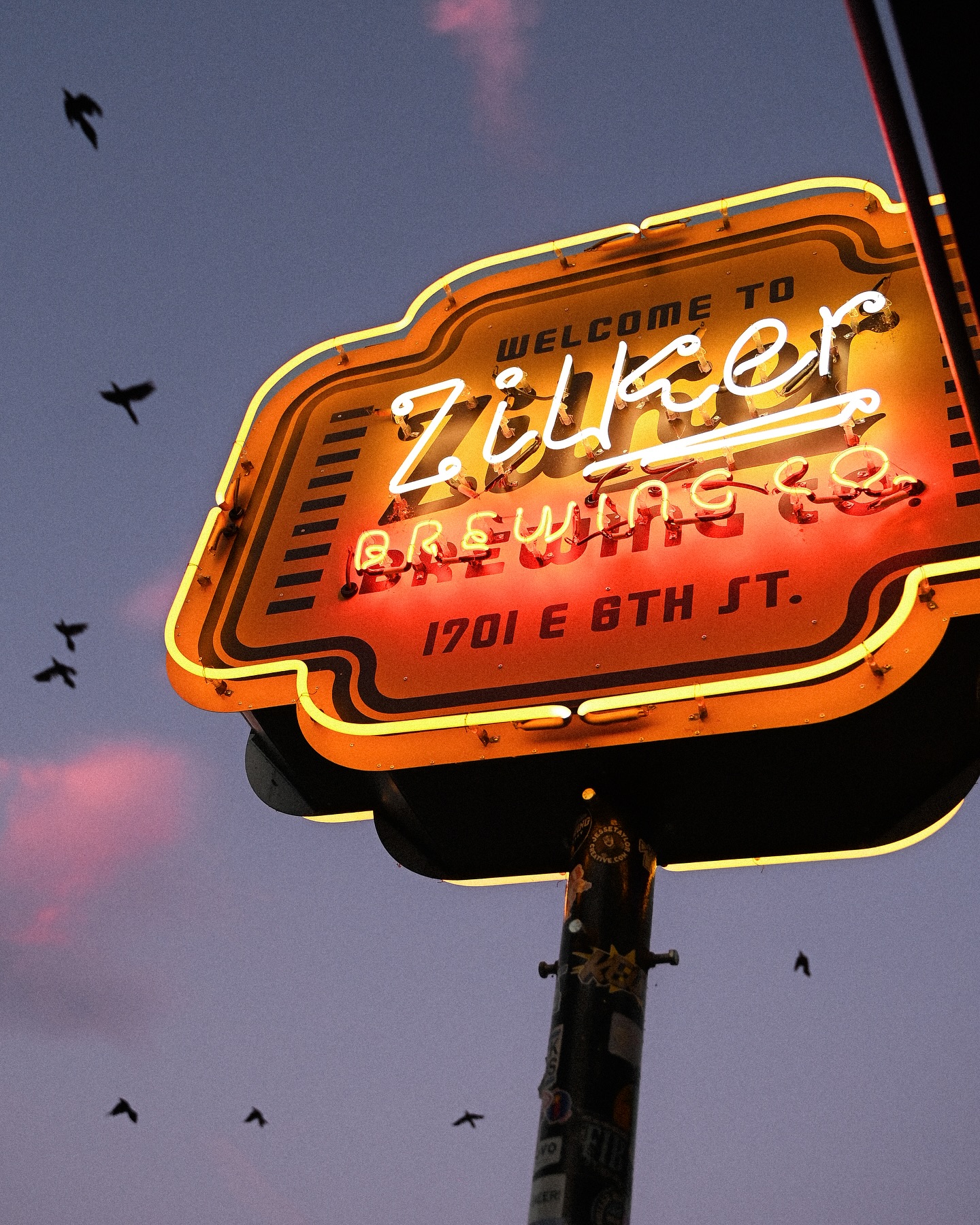 Neon sign for Zilker Brewing Co. and silhouetted birds at dusk.