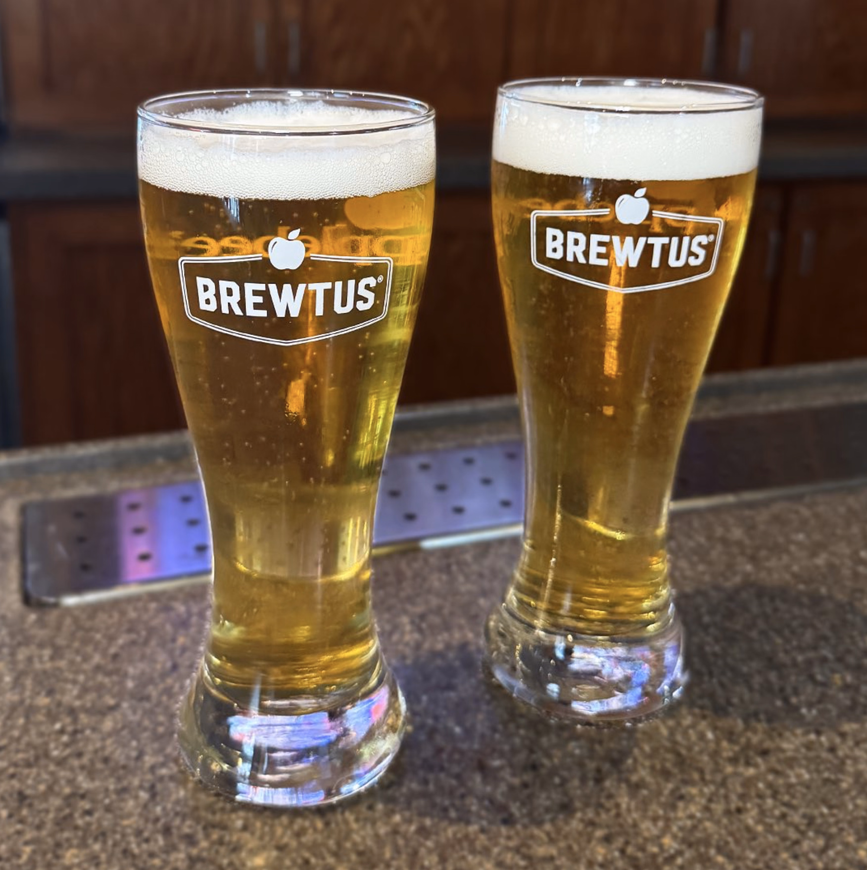 Two chilled Brewtus beers on the bar top with a golden hue and frothy heads.