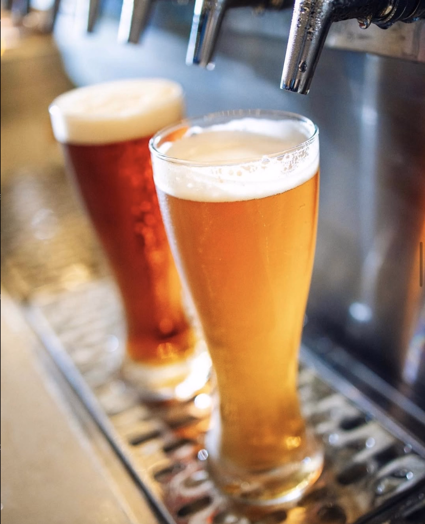 Golden pints of beer on tap at Buffalo Wild Wings bar.