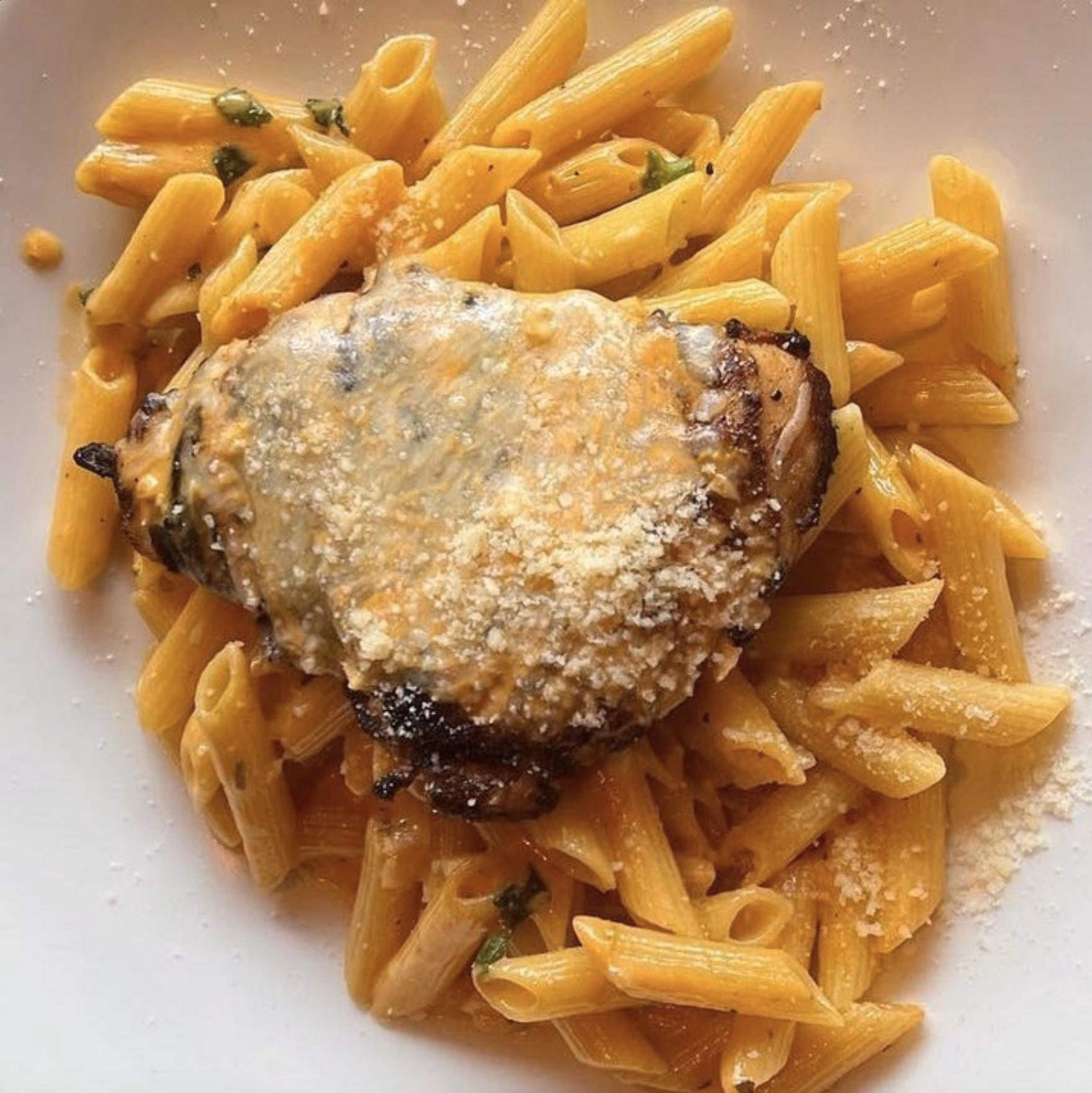 Penne pasta coated in a rich sauce with a cheesy, golden-brown grilled chicken filet on top.