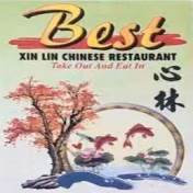 Xin Lin logo