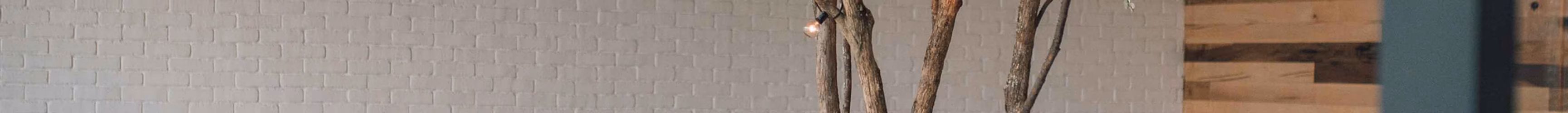 Willow & Whisk logo