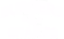 Burgers and Shakes logo