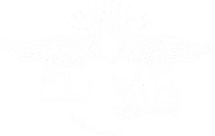 Elevar Wynwood logo