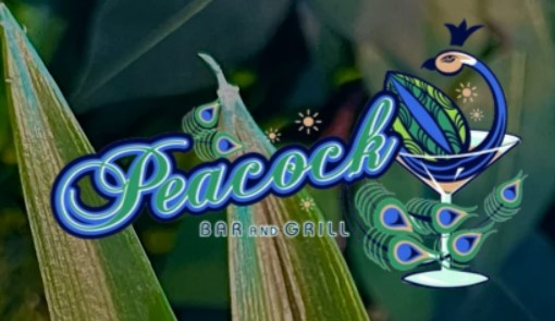 Peacock Bar & Grill logo