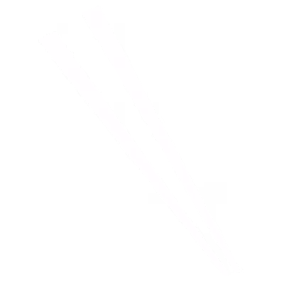 George & Son's Asian Cuisine logo