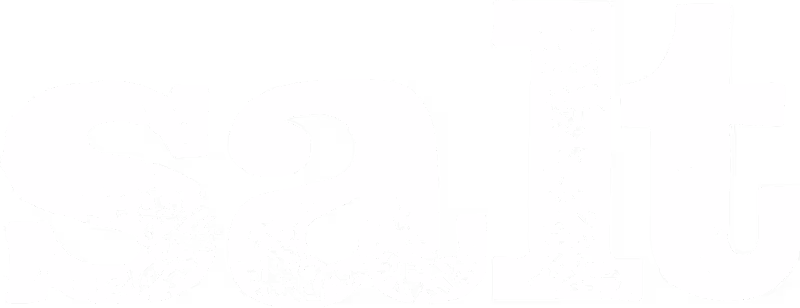 Salt logo