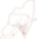 Vermilion logo