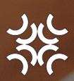 APT 4B logo