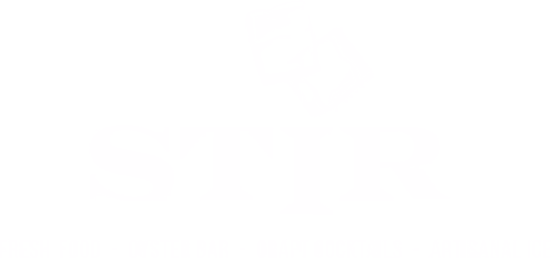 STIR logo