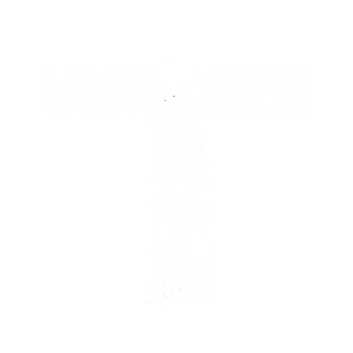 Toast logo