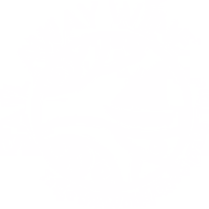 Sail Away Wine logo