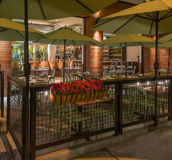 The Daily Kitchen & Bar logo