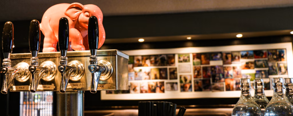 Hair Of The Dog Neighbourhood Pub & Restaurant logo