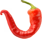 Señor Taco Mexican Grill & Bar logo