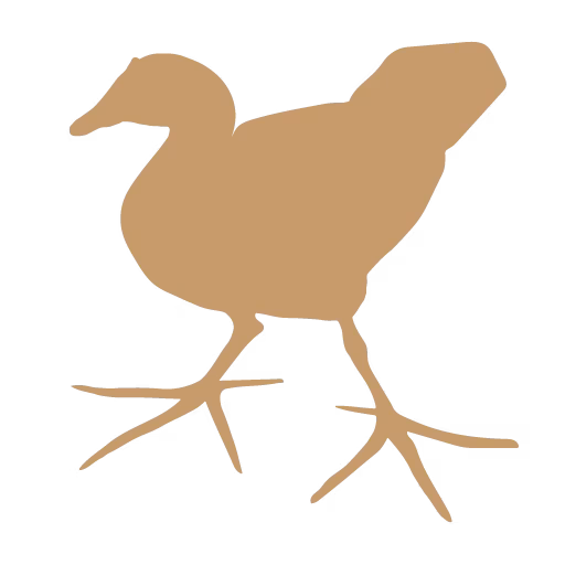 Mud Hen Water logo