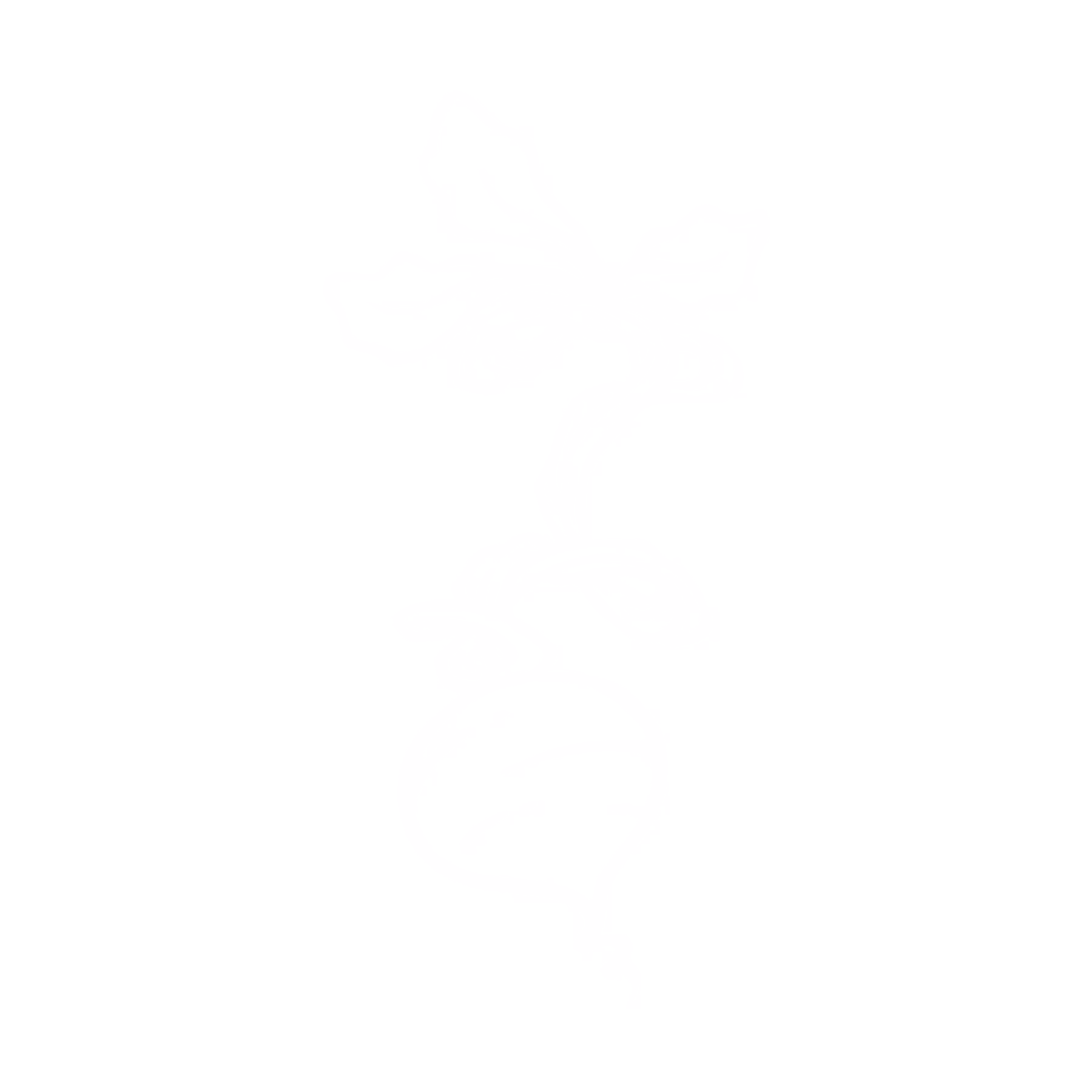 Twisted Turnip logo