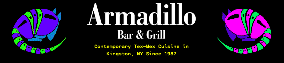 Armadillo logo