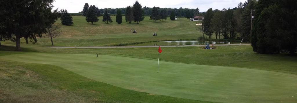 White Birch Golf Course logo