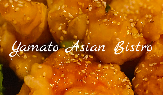 Yamato Asian Bistro Inc logo