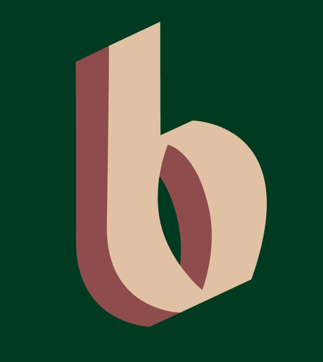 Bumpa's logo