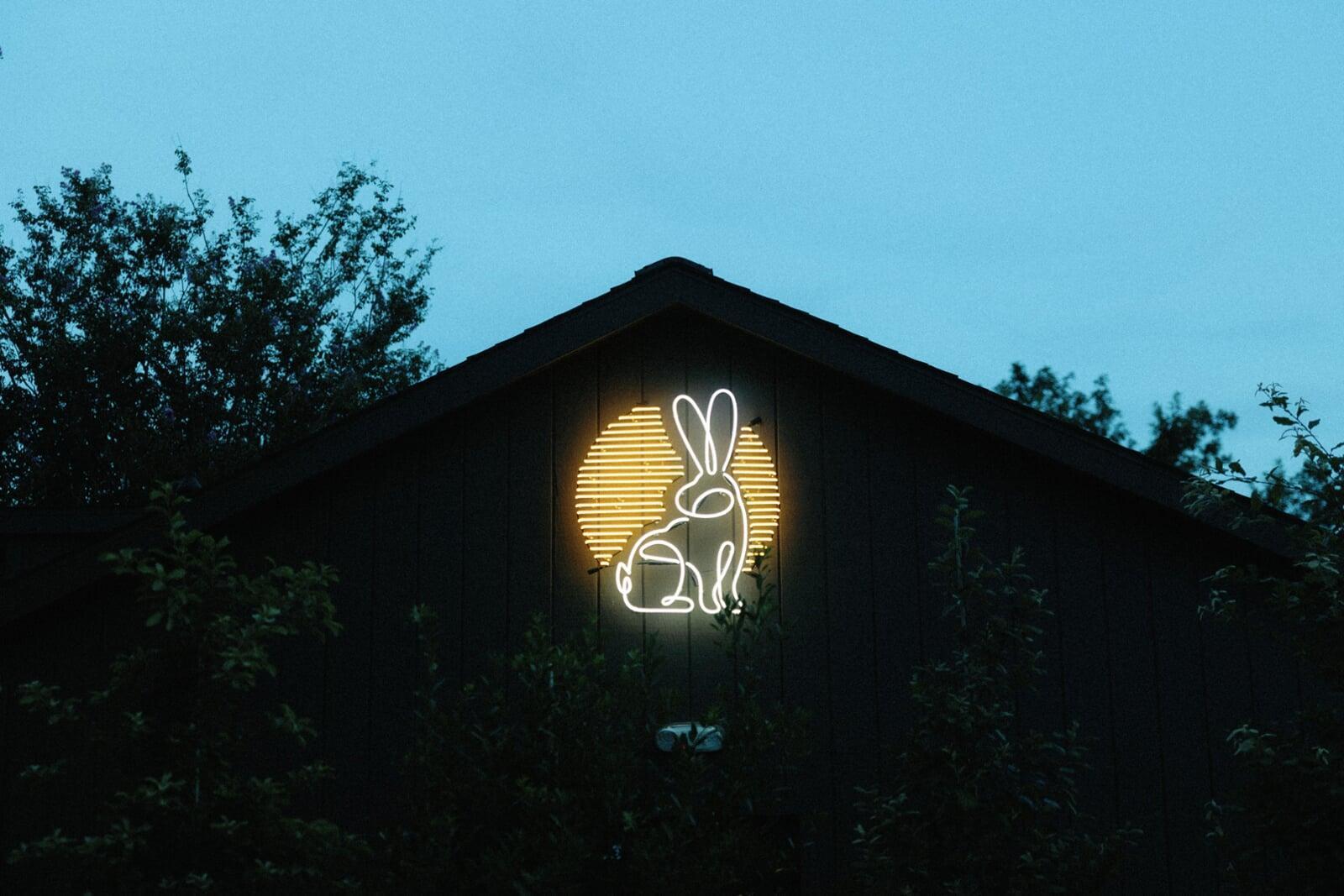 The Rabbit Hole